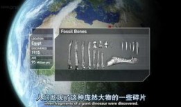 星球版本爆料大全最新,揭秘最新星系奥秘与未知领域