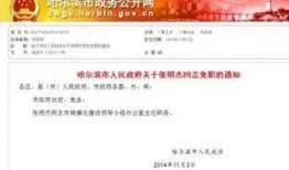 哈尔滨经济爆料最新消息,揭秘最新产业布局与投资机遇