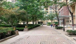 西咸新区房产最新爆料,揭秘最新爆料与投资潜力