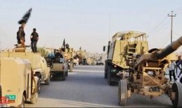 洪大炮最新爆料新闻,揭秘事件背后惊人真相