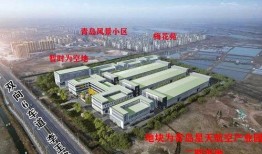 青岛胶州最新爆料,揭秘城市新动向与热点事件