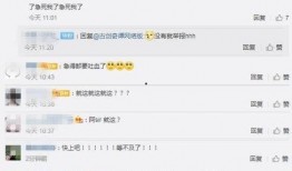 最新爆料小说,最新爆料小说背后的惊世之谜